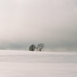 我爱搞,52g无码网站
